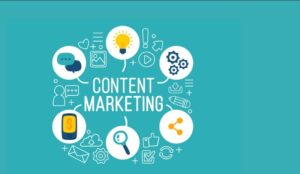 Top Digital Marketer In Kerala, Fest Freelance Digital Marketer